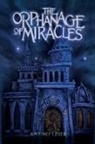 Amy Neftzger - The Orphanage Of Miracles