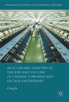 Cheng Jin - An Economic Analysis of the Rise and Decline of Chinese Township and Village Enterprises