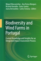 Joana Bernardino, Carlos Fonseca, Ana Marques, Ana Teresa Marques, Miguel Mascarenhas, Ricardo Ramalho... - Biodiversity and Wind Farms in Portugal