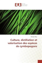 Thomas Silou - Culture, distillation et valorisation des espèces de cymbopogons