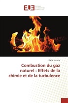 Ridha Ennetta - Combustion du gaz naturel : Effets de la chimie et de la turbulence