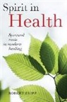 Robert Fripp - Spirit in Health: Spiritual roots in modern healing, or Social and medical sciences enlist ancient mind-body healing techniques