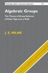 J. S. Milne, J. S. (University of Michigan Milne - Algebraic Groups