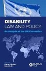 Charles O'Mahony, Gerard (National University of Ireland Galway) Quinn - Disability Law and Policy