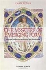 Yvan Rioux - Mystery of Emerging Form