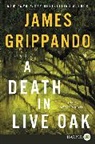 James Grippando, Grippando James - A Death in Live Oak