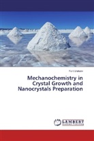 Farit Urakaev - Mechanochemistry in Crystal Growth and Nanocrystals Preparation