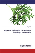 Alo Dash, Alok Dash, Jhansee Mishra - Hepatic ischemia protection by thuja orientalis