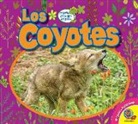 John Willis - Los Coyotes