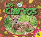 Samantha Nugent - Los Ciervos