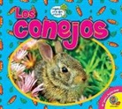Heather Kissock - Los Conejos