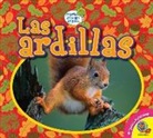 John Willis - Las Ardillas