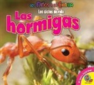 Katie Gillespie - Las Hormigas