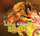 Katie Gillespie - Las Abejas
