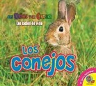 Katie Gillespie - Los Conejos