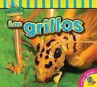 John Willis - Los Grillos