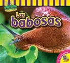 John Willis - Las Babosas