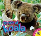 Heather Kissock - El Koala
