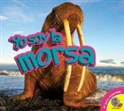 Samantha Nugent - La Morsa