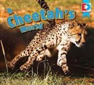 Katie Gillespie - A Cheetah's World