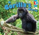 Katie Gillespie - A Gorilla's World