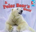 Katie Gillespie - A Polar Bear's World