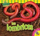 Samantha Nugent - Las Lombrices