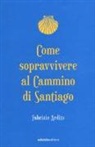Fabrizio Ardito - Come sopravvivere al cammino di Santiago