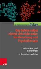 Andreas Heinz, Gerhard Roth, Uw Britten, Uwe Britten - Das Gehirn selbst nimmt sich nicht wahr: Hirnforschung und Psychotherapie