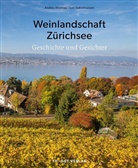 Andres Altwegg, Altwegg Andres, Sasi Subramaniam, Sasi Subramaniam - Weinlandschaft Zürichsee
