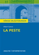 Albert Camus - Albert Camus 'La Peste'