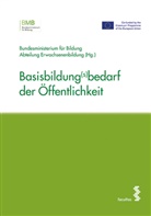Bundesministerium für Bildung, Bundesministeriu für Bildung Abteilung Erwachsene - Basisbildung(s)bedarf der Öffentlichkeit