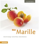 Helm Bachmann, Helmut Bachmann, Heinric Gasteiger, Heinrich Gasteiger, Gerhar Wieser, Gerhard Wieser - 33 x Marille