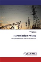 Raj Chaudhary, Raju Chaudhary, Niraj Patel - Transmission Pricing