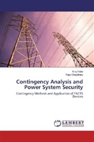 Raju Chaudhary, Nira Patel, Niraj Patel - Contingency Analysis and Power System Security