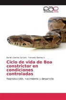 Daniel Dueñas Santafe, Daniela Dueñas Santafe, Fernando Dueñas V, Fernando Dueñas V. - Ciclo de vida de Boa constrictor en condiciones controladas