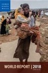 Human Rights Watch, Human Rights Watch&gt;, Kenneth Roth - World Report 2018