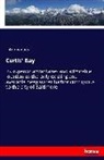 Anonym, Anonymous - Curtis' Bay