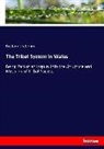 Frederic Seebohm - The Tribal System in Wales