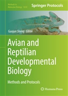 Guoju Sheng, Guojun Sheng - Avian and Reptilian Developmental Biology