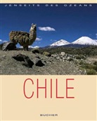 Susanne Asal, Guido Cozzi - Chile