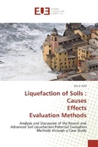 Elio El Kahi - Liquefaction of Soils : Causes Effects Evaluation Methods