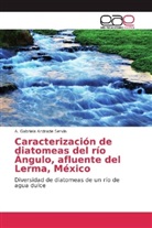 A Gabriela Andrade Servín, A. Gabriela Andrade Servín - Caracterización de diatomeas del río Ángulo, afluente del Lerma, México