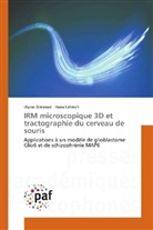 Ulyss Gimenez, Ulysse Gimenez, Hana Lahrech - IRM microscopique 3D et tractographie du cerveau de souris