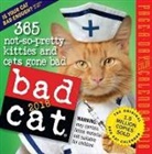 Workman Publishing, Workman Publishing (COR) - Bad Cat 2018 Calendar
