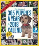 Workman Publishing, Workman Publishing (COR) - 365 Puppies-a-year Picture-a-day 2018 Calendar
