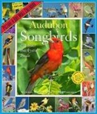 National Audubon Society, National Audubon Society (COR) - Audubon Songbirds & Other Backyard Birds 2018 Calendar