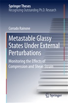 Corrado Rainone - Metastable Glassy States Under External Perturbations