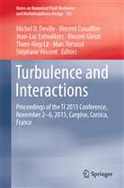 Vincen Couaillier, Vincent Couaillier, Michel O. Deville, Jean-Luc Estivalezes, Jean-Luc Estivalezes et al, Vincent Gleize... - Turbulence and Interactions