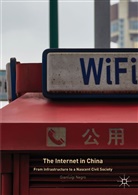 Gianluigi Negro - The Internet in China